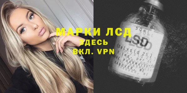 ПСИЛОЦИБИНОВЫЕ ГРИБЫ Алзамай
