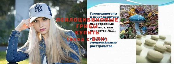 ПСИЛОЦИБИНОВЫЕ ГРИБЫ Алзамай