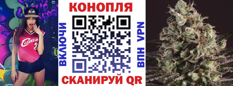 Конопля планчик Арамиль